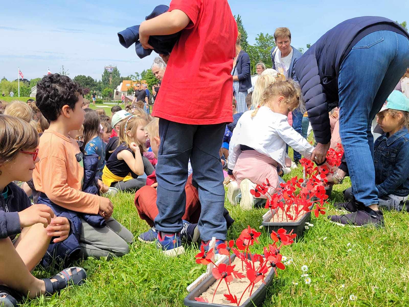 depot coquelicots-2